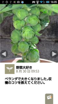 Ascii Jp 千趣会イイハナ 家庭菜園アプリの期間限定トライアルを開始