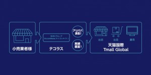 ＜サービスイメージ＞