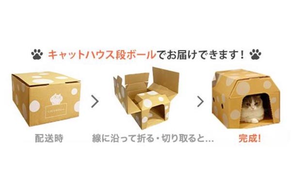 段ボールがキャットハウスに…ロコンド、片瀬那奈さんが手がけた新