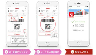 ビックカメラ コジマ ソフマップで 楽天ペイ での支払が可能に 通販通信ecmo