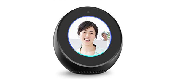 母の日セール『Ｅｃｈｏ　Ｓｐｏｔ（２台）』